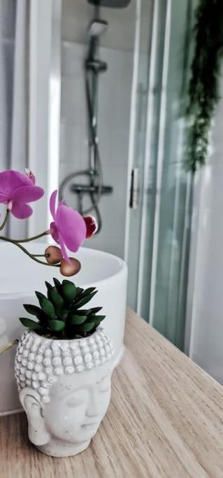 Апартаменты #New#Terrasse Sud Ouest#Pied De La Cite #1 Каркассон Экстерьер фото